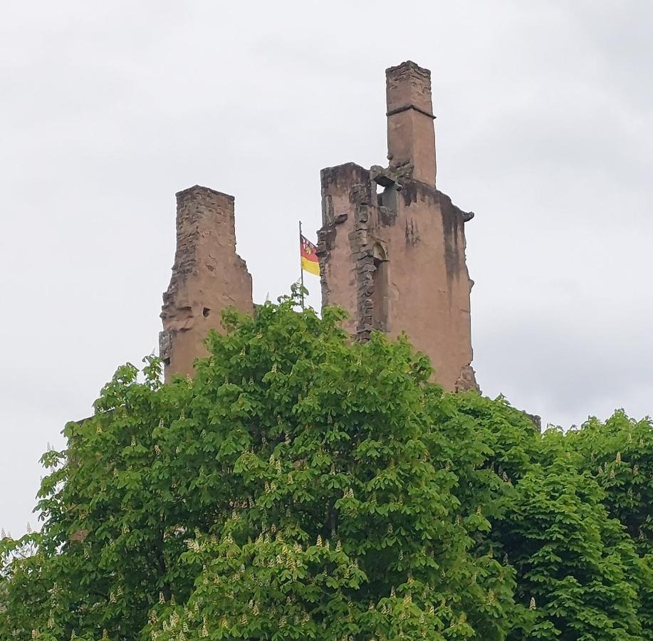 Ella Am Eifelsteig Appartement Kordel Buitenkant foto